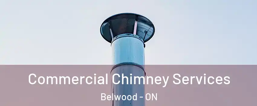  Commercial Chimney Services Belwood - ON