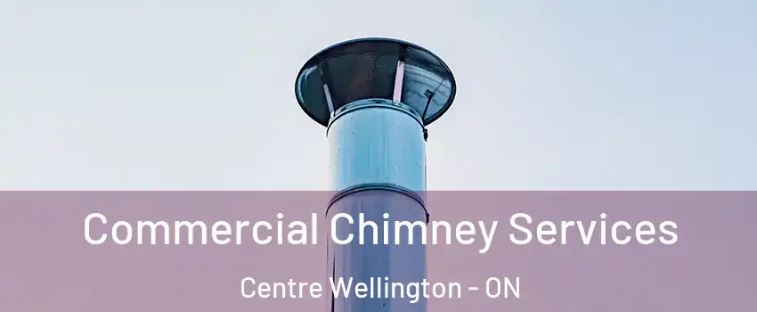  Commercial Chimney Services Centre Wellington - ON