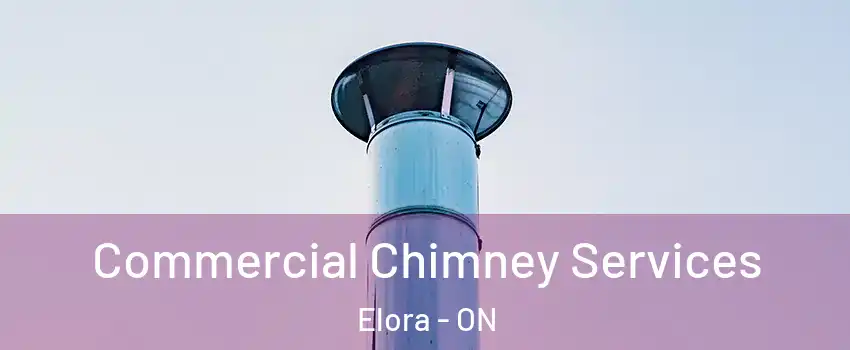  Commercial Chimney Services Elora - ON