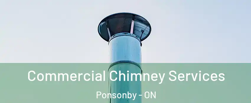 Commercial Chimney Services Ponsonby - ON