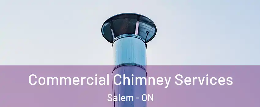  Commercial Chimney Services Salem - ON