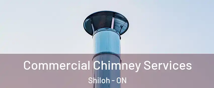  Commercial Chimney Services Shiloh - ON