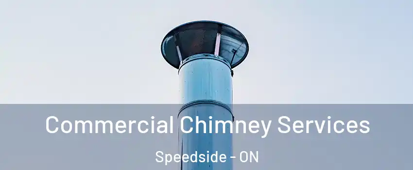  Commercial Chimney Services Speedside - ON