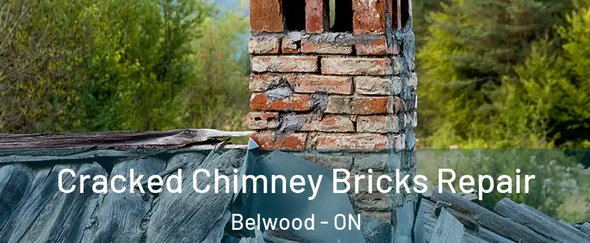  Cracked Chimney Bricks Repair Belwood - ON