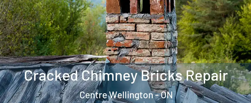  Cracked Chimney Bricks Repair Centre Wellington - ON