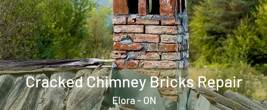  Cracked Chimney Bricks Repair Elora - ON