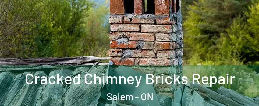  Cracked Chimney Bricks Repair Salem - ON