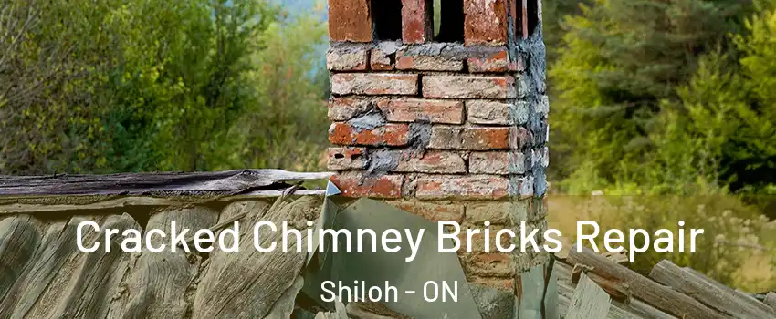  Cracked Chimney Bricks Repair Shiloh - ON
