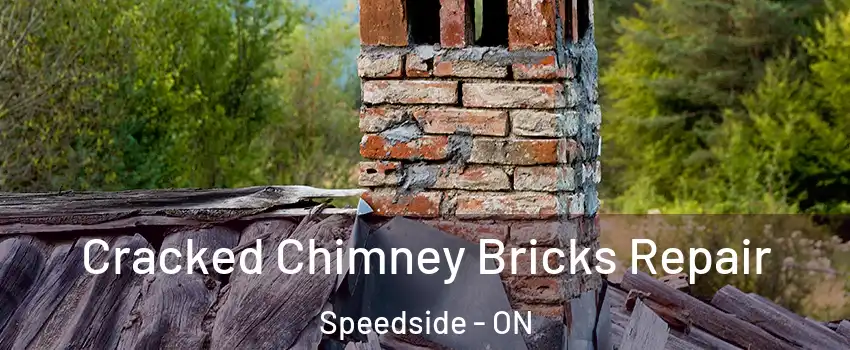  Cracked Chimney Bricks Repair Speedside - ON