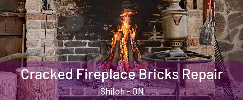  Cracked Fireplace Bricks Repair Shiloh - ON