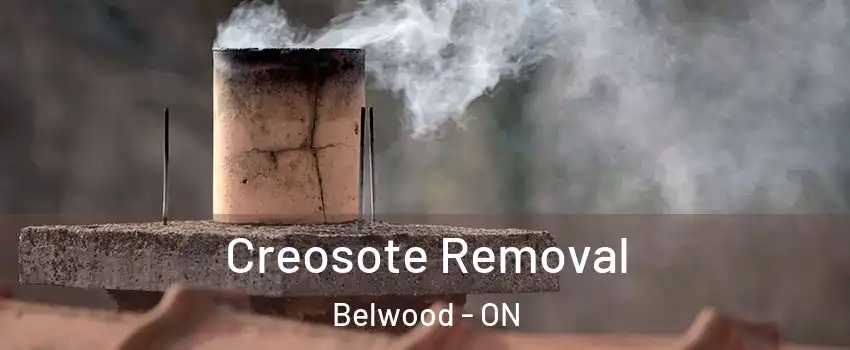  Creosote Removal Belwood - ON
