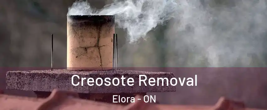  Creosote Removal Elora - ON