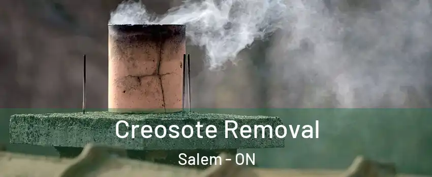  Creosote Removal Salem - ON