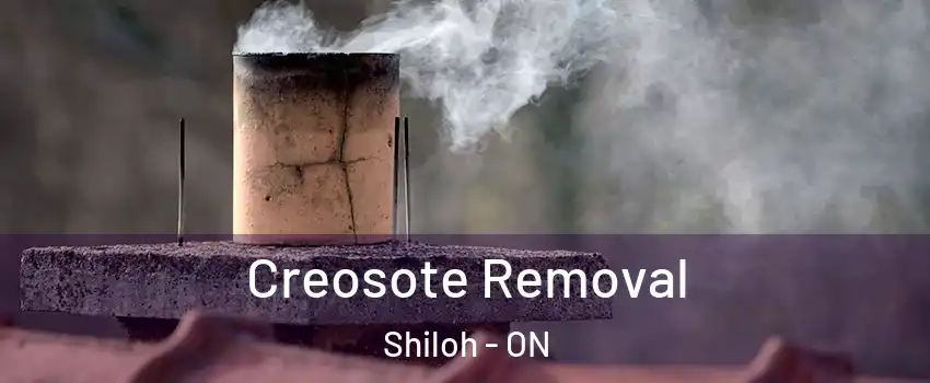  Creosote Removal Shiloh - ON
