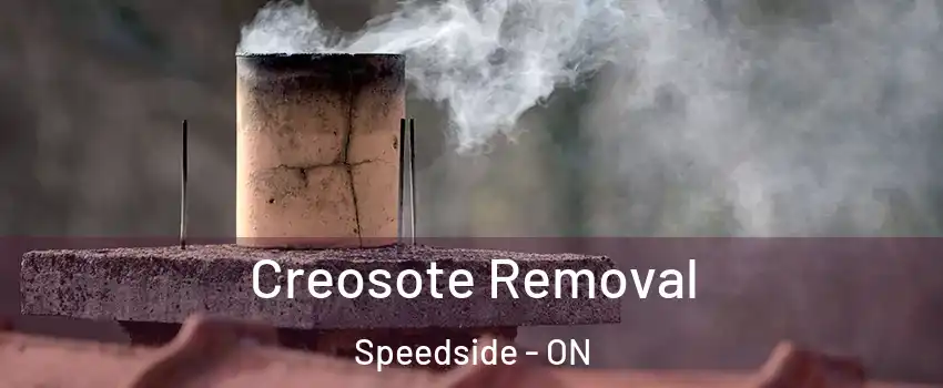  Creosote Removal Speedside - ON