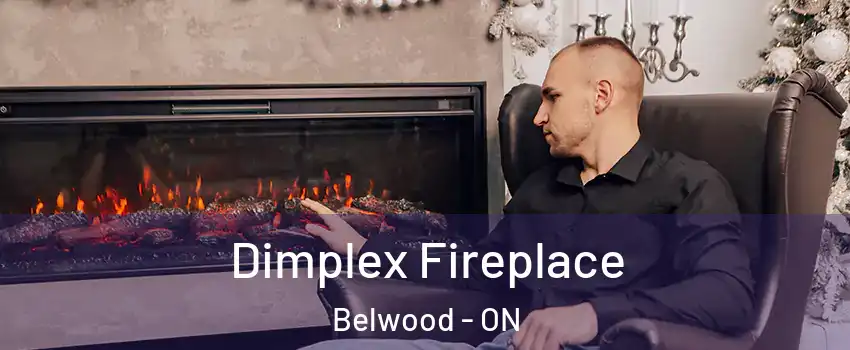  Dimplex Fireplace Belwood - ON