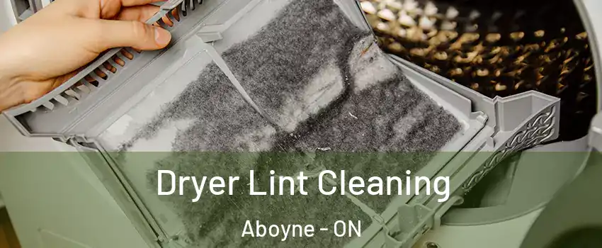  Dryer Lint Cleaning Aboyne - ON