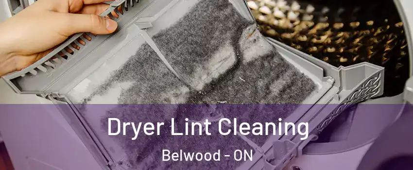  Dryer Lint Cleaning Belwood - ON