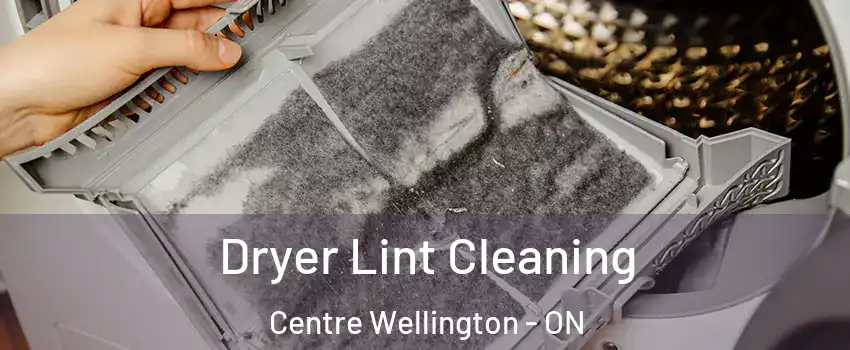  Dryer Lint Cleaning Centre Wellington - ON