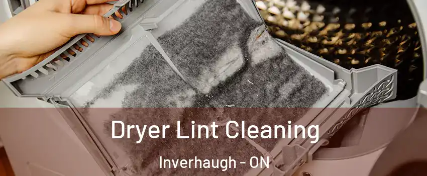  Dryer Lint Cleaning Inverhaugh - ON