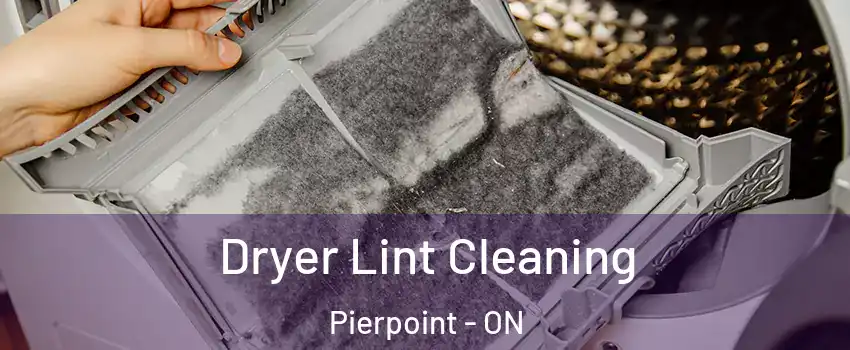  Dryer Lint Cleaning Pierpoint - ON
