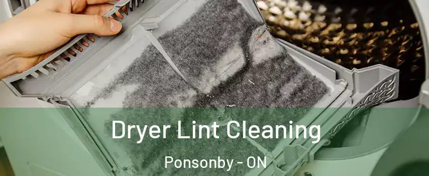  Dryer Lint Cleaning Ponsonby - ON