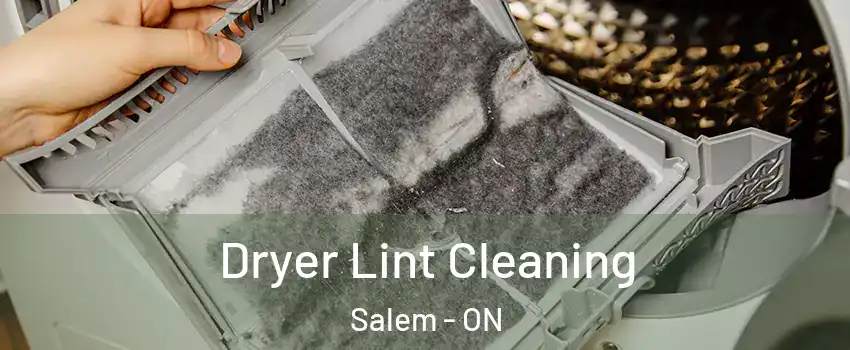  Dryer Lint Cleaning Salem - ON