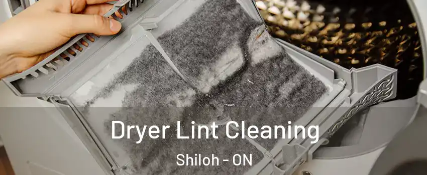  Dryer Lint Cleaning Shiloh - ON