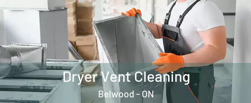  Dryer Vent Cleaning Belwood - ON