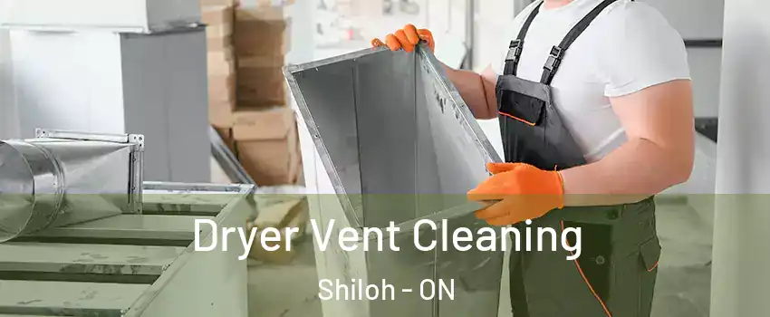  Dryer Vent Cleaning Shiloh - ON