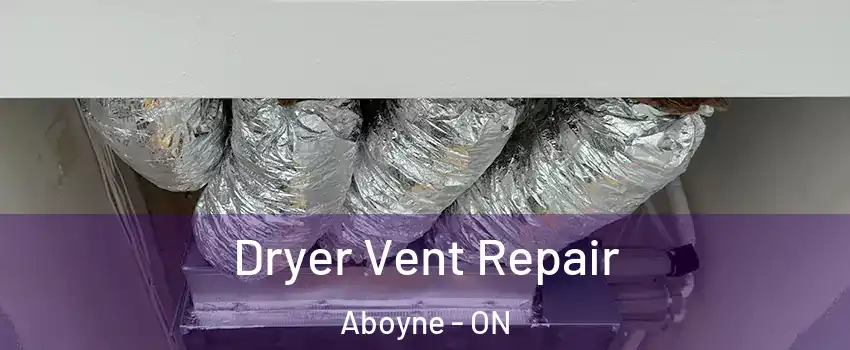  Dryer Vent Repair Aboyne - ON