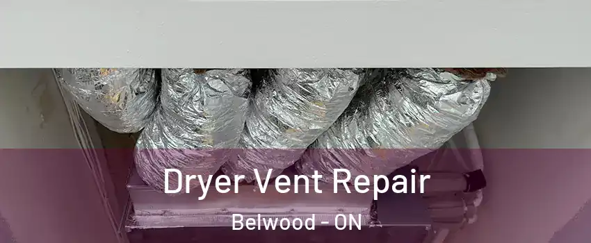  Dryer Vent Repair Belwood - ON