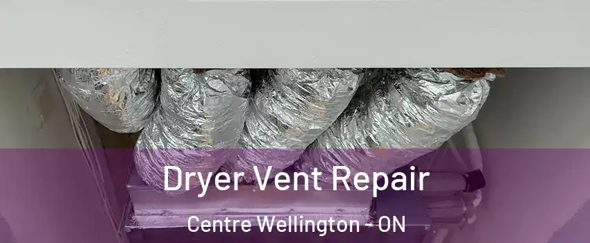  Dryer Vent Repair Centre Wellington - ON