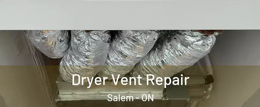  Dryer Vent Repair Salem - ON