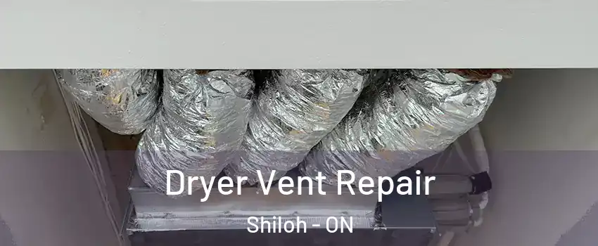  Dryer Vent Repair Shiloh - ON