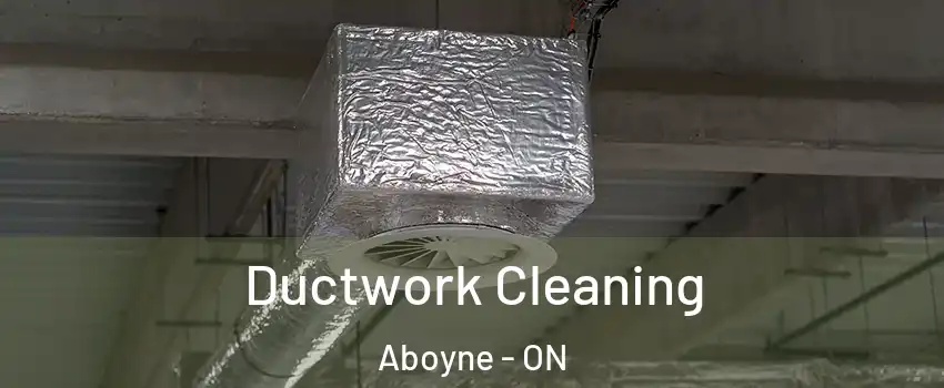 Ductwork Cleaning Aboyne - ON