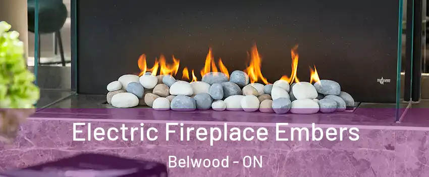  Electric Fireplace Embers Belwood - ON