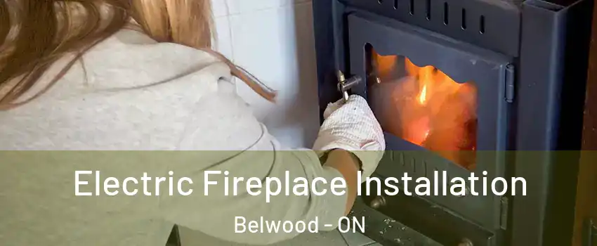  Electric Fireplace Installation Belwood - ON