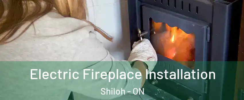  Electric Fireplace Installation Shiloh - ON