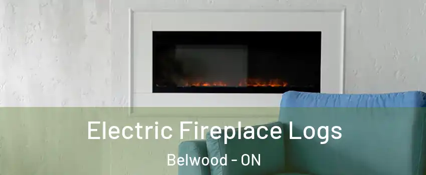  Electric Fireplace Logs Belwood - ON