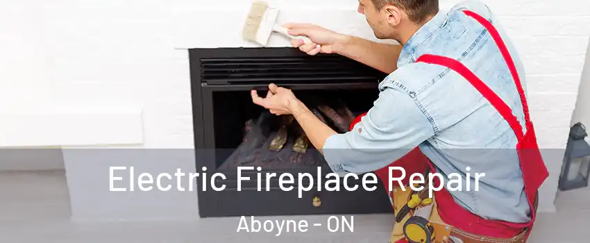  Electric Fireplace Repair Aboyne - ON