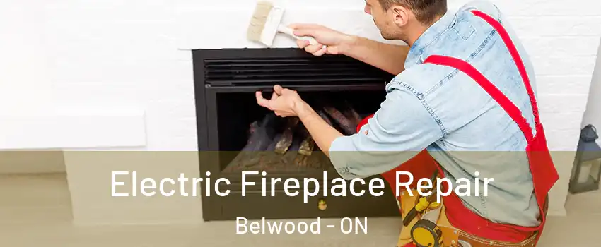  Electric Fireplace Repair Belwood - ON