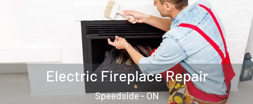  Electric Fireplace Repair Speedside - ON