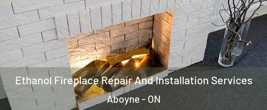  Ethanol Fireplace Repair And Installation Services Aboyne - ON