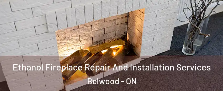  Ethanol Fireplace Repair And Installation Services Belwood - ON