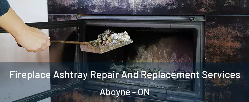  Fireplace Ashtray Repair And Replacement Services Aboyne - ON