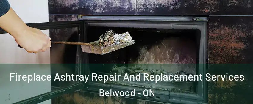  Fireplace Ashtray Repair And Replacement Services Belwood - ON