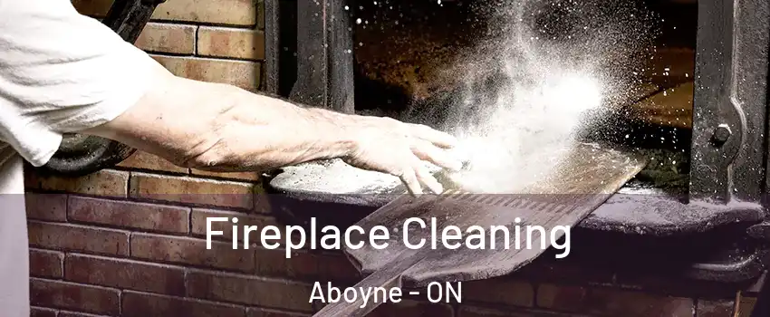 Fireplace Cleaning Aboyne - ON