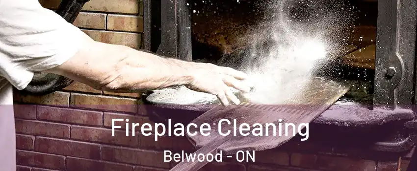  Fireplace Cleaning Belwood - ON