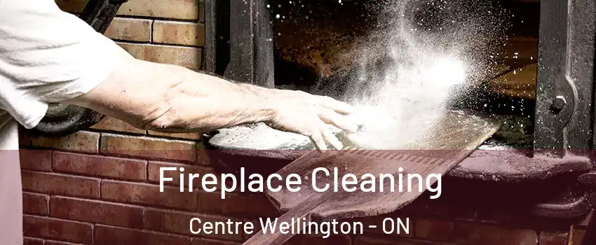  Fireplace Cleaning Centre Wellington - ON